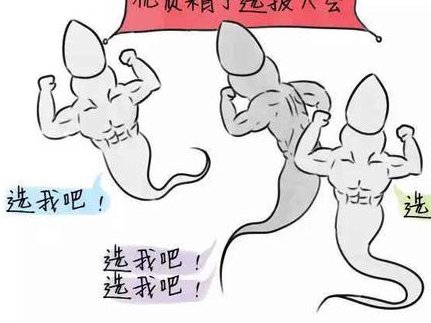 2026年普洱试管自由行助孕攻略，海外试管医院费用全解析