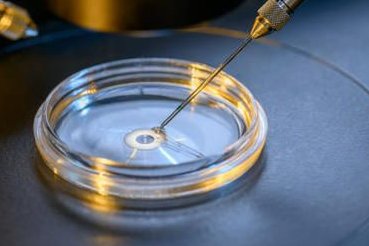 2026湖南试管＊＊医院名单及前十排名医院详述