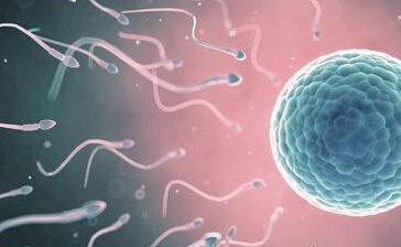 三代试管号泰国哪家医院比较好？杰宁？