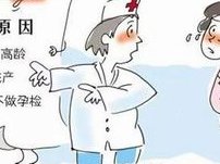 花莲美国试管婴儿，美国试管花费？