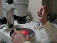 安徽省妇幼保健院洗精费用多少钱？试管婴儿移植成功后检查流程有哪些？