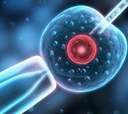 三代试管筛查会不会出现错误？三代试管筛查流程详解