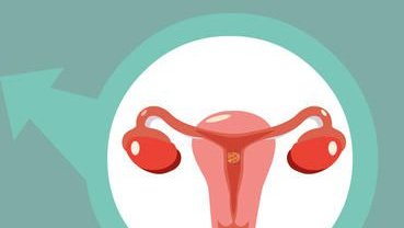 保定助孕中心排行揭秘：哪家助孕机构更靠谱？成功率真相大公开！