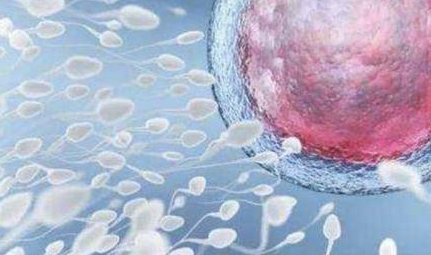 夫妻做第三代试管婴儿多胞胎费用需要多少钱？