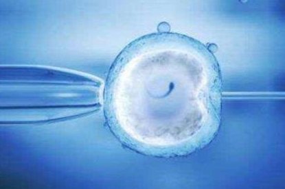 上海三大助孕公司是哪三家？妇幼怎么样？